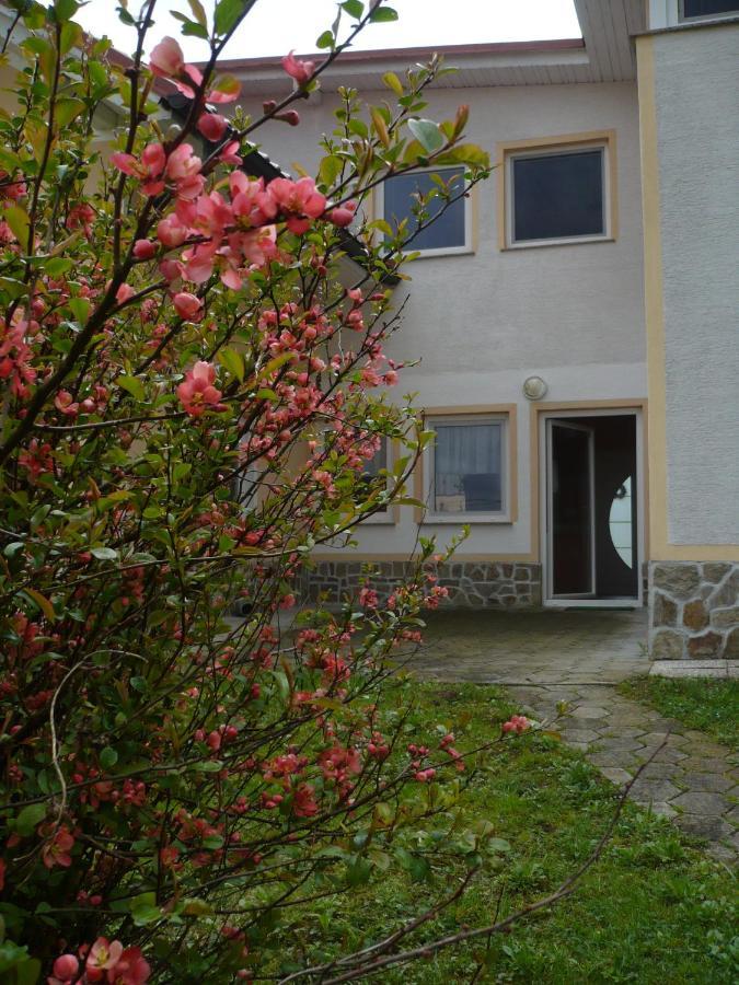 Apartmaji In Sobe Kocjancic Podčetrtek Eksteriør billede